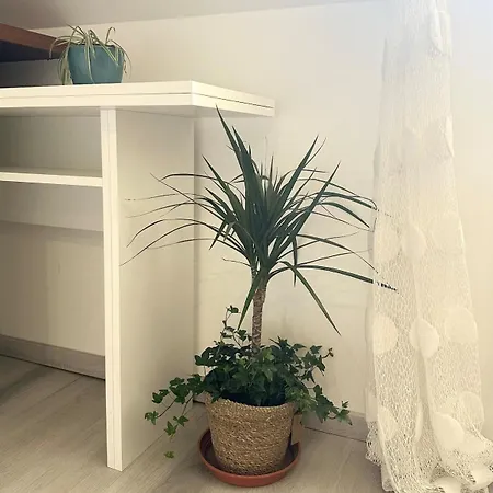 T2 * 巴斯洛内特
